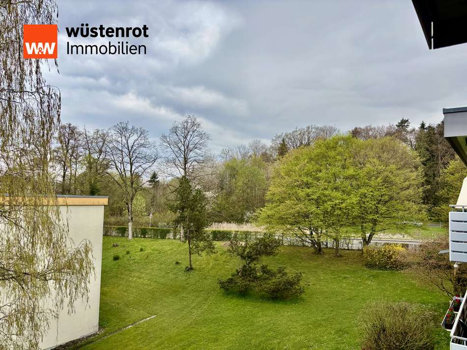 Blick ins Grüne IMG_7775 2