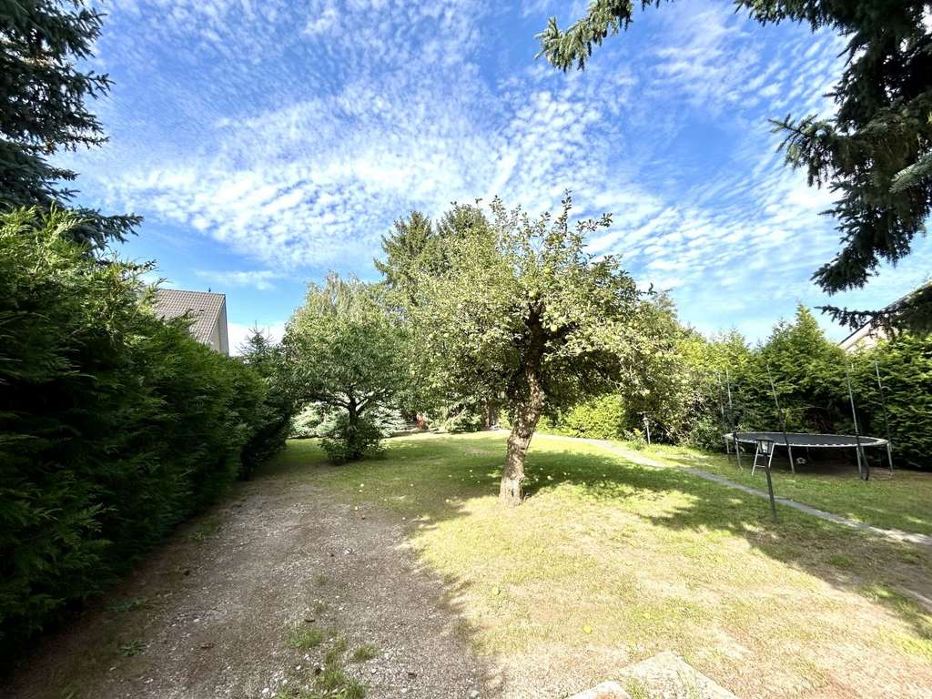 Grüne Oase: Ein Zuhause zwischen Bäumen und Blumen