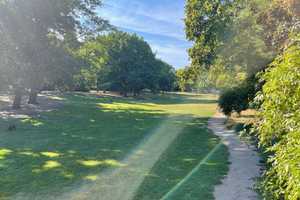 +++bezugsfreie 2-Zimmer-Altbauwohnung mit Dielenboden am Volkspark+++ – Bruchsaler Straße 13, 10715 Berlin – Vorschaubild 19