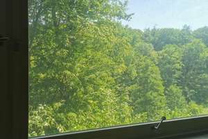 Maklerfrei   Ein Bungalow in Berg. Neukirchen, in absolut traumhafter, unverbaubarer Lage – Flabbenhäuschen 15, 51381 Bergisch Neukirchen, Leverkusen – Vorschaubild 3