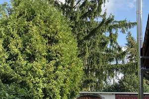 Fast 1.000 m² Gartenparadies bei Berlin –  Einfamilienhaus, 4 Garagen & außergewöhnlich viel Platz – Die vollständige Adresse der Immobilie erhältst du vom Anbieter., 15366 Neuenhagen bei Berlin – Vorschaubild 6