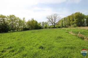 Perle in absoluter Alleinlage ! Traumgrundstück ! – Bedburg-Hau, Kleve (Kreis), 47551 Kleve (Kreis) – Vorschaubild 84