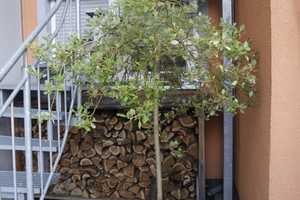 Vollständig renovierte 2-Raum-Wohnung mit Einbauküche in eppelheim – spitalstr. 19, 69214 Rhein-Neckar-Kreis – Vorschaubild 2