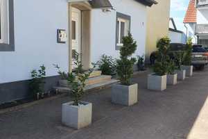Kleines freistehendes Einfamilienhaus – Hauptstraße 69, 67126 Rhein-Pfalz-Kreis – Vorschaubild 1