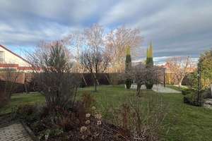 Freistehendes Einfamilienhaus mit Garten in ruhiger Lage – Die vollständige Adresse der Immobilie erhältst du vom Anbieter., 38315 Schladen – Vorschaubild 9