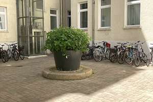 Bezugsfreie Wohnung in Prenzl Berg Mitte direkt vom Eigentümer – Die vollständige Adresse der Immobilie erhältst du vom Anbieter., 10119 Mitte (Ortsteil), Berlin – Vorschaubild 15