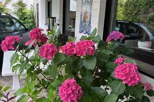 Liebevolles Einfamilienhaus mit großzügigem Grundstück in Isernhagen K.B. – Hannover (Kreis) – Vorschaubild 2