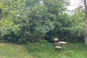 Property thumbnail 14