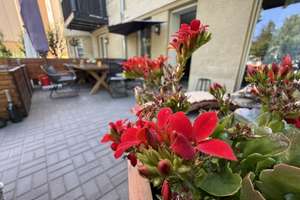 Suchen Nachmieter zum Juli! Kleines Apartment mit großer Terrasse! Bad mit Du! Separater Eingang!
