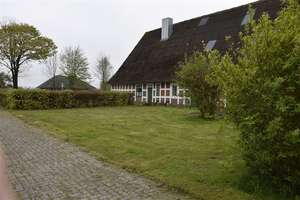 Ein Traum, das eigene Pferd direkt am Haus zu haben! Teilsaniertes Bauernhaus mit 1 Ha. Weide! – Süderende 8, 21782 Bülkau – Vorschaubild 13