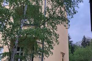 vermietete Altbauwohnung mit Balkon in Lichterfelde – Müllerstraße 29, 12207 Lichterfelde, Berlin – Vorschaubild 3