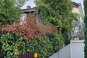 Zuhause ist dort, wo Ihr Herz auch dafür schlägt... Schauen Sie hier mal rein!  – Rhein-Neckar-Kreis – Vorschaubild 6
