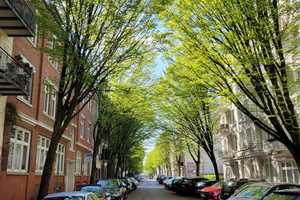 Schöne vollmöblierte 2-Zimmer-Wohnung am Mühlenkamp – Hamburg – Vorschaubild 11