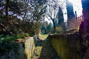 Wege ins Paradies, 
Dreiseithof mit großem Garten – Meißen (Kreis) – Vorschaubild 1