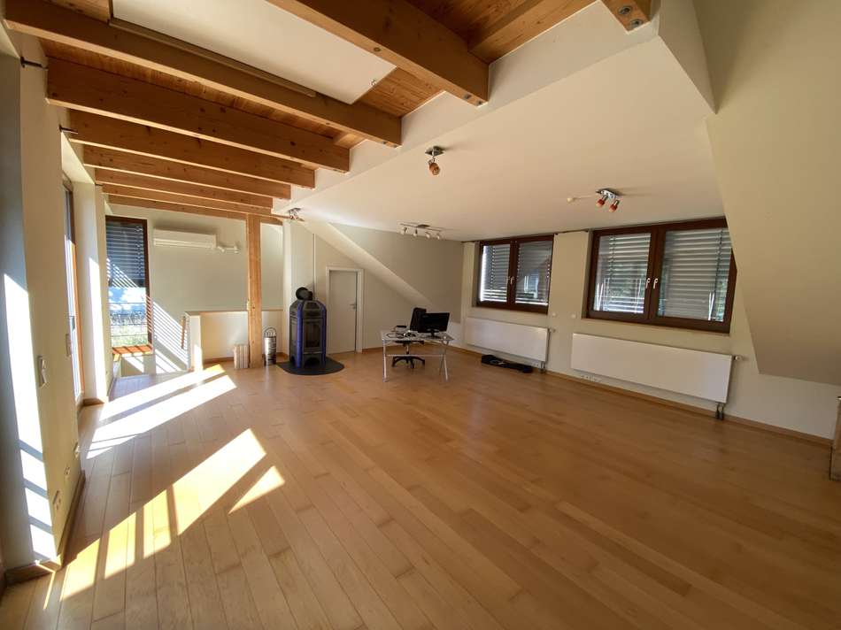 Studio/Wohnzimmer (Anbau)