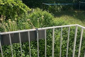 Gartentraum in Regensburg ! Grüne 1 Zimmer-Balkon-Wohnung in guter Lage – 93051 Kumpfmühl-Ziegetsdorf-Neuprüll, Regensburg – Vorschaubild 5
