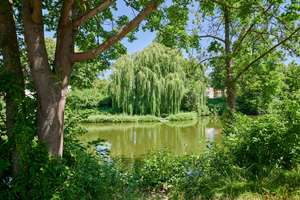 Wohnen im Grünen mit Wasserblick - 2 Wohnungen im Angebot – Kalenberger Graben 28, 31134 Stadtmitte / Neustadt, Hildesheim – Vorschaubild 6