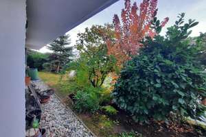Wohnen wie in den Bergen - Schönes Haus mit Blick und großem Garten in Saal an der Donau – Die vollständige Adresse der Immobilie erhältst du vom Anbieter., 93342 Saal an der Donau – Vorschaubild 31
