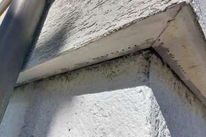 3-Fam.Haus - zentral, ruhig, hell, freistehend, gedämmte Fassade, unvermietet, provisionsfrei – Die vollständige Adresse der Immobilie erhältst du vom Anbieter., 71083 Herrenberg – Vorschaubild 16