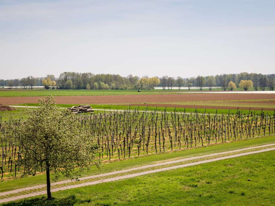 Umgebung