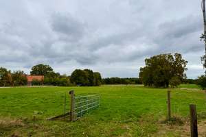 Resthof mit Nebengebäuden und Bauland in Stöckse – vielseitig nutzbar! – Die vollständige Adresse der Immobilie erhältst du vom Anbieter., 31638 Stöckse – Vorschaubild 18