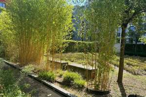 Property thumbnail 14