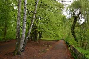 Property thumbnail 13