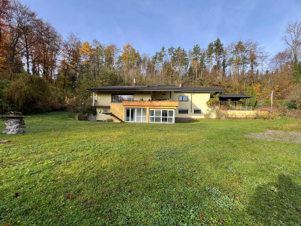 Immobilie in Birkenau - Einzigartiges Haus mit 13 Zimmern und 6700 m² Grundstück in Birkenau - Bild 0