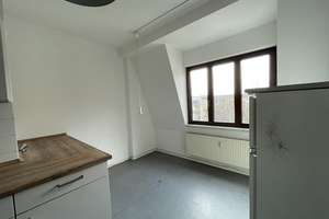 Elbwiesen vor der Haustür – Neubertstraße 25, 1307 Johannstadt-Nord, Dresden – Vorschaubild 5