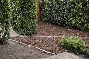 Wohnen mit Charakter: 3-Zimmer-Erdgeschosswohnung mit kleinem Garten in Oldenburg  – Sandweg 203b, 26135 Drielaker Moor, Oldenburg (Oldenburg) – Vorschaubild 2