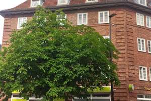 Nette Nachbarn gesucht: individuelle Wohnung in Stadtnähe