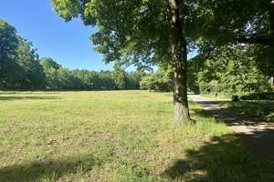Provisionsfreies Reihenhaus in ruhiger und grüner Lage von Wittenau. 216 qm Nutzfläche   – Spiessweg 100, 13437 Wittenau, Berlin – Vorschaubild 32