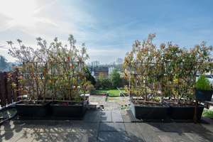 Property thumbnail 14