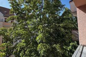 Frisch kernsanierte Altbauwohnung am Maybachufer *von Privat* – Die vollständige Adresse der Immobilie erhältst du vom Anbieter., 12047 Neukölln (Ortsteil), Berlin – Vorschaubild 12