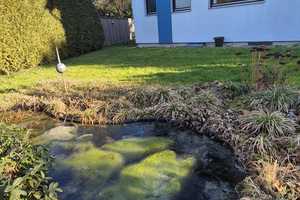 Ansprechendes und gepflegtes 6-Zimmer-Einfamilienhaus in bester Lage in Lauf an der Pegnitz – Albert-Schweitzer 22, 91207 Nürnberger Land (Kreis) – Vorschaubild 16