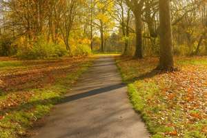 Property thumbnail 38