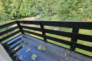 *** TOP Preis!  Hübsches Einfamilienhaus in idyllischer Lage zu verkaufen *** – Talstraße 3, 8321 Zschorlau – Vorschaubild 25