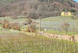 Aussicht