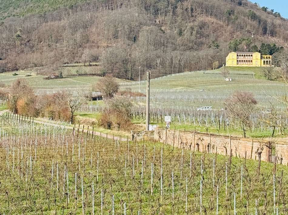 Aussicht