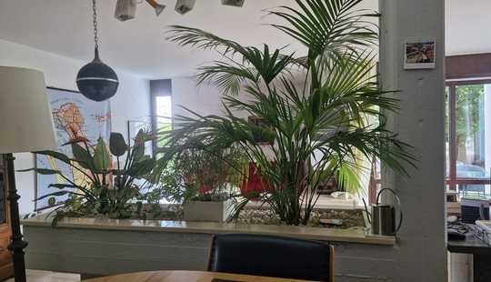 Bild von Exklusive Architektenvilla mit Wellnessbereich und traumhaftem Garten