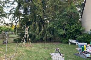 Im schönen Badenheim – Die vollständige Adresse der Immobilie erhältst du vom Anbieter., 55576 Badenheim – Vorschaubild 3