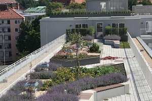 Property thumbnail 17