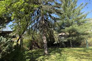 Wohnhaus im Bungalowstil  im Grünen mit Gartenstudio  – Die vollständige Adresse der Immobilie erhältst du vom Anbieter., 39130 Neu Olvenstedt, Magdeburg – Vorschaubild 14