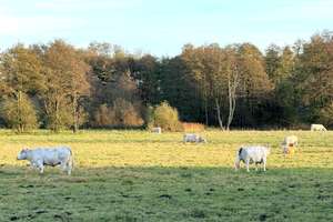 Großzügiges Einfamilienhaus mit traumhafter Aussicht & vielen Extras – Die vollständige Adresse der Immobilie erhältst du vom Anbieter., 14778 Beetzsee – Vorschaubild 24