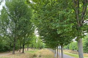 Property thumbnail 34