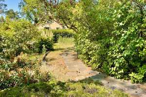 Grundstück mit Charme und kleinem, massiven Häuschen aus den 30er Jahren – Dahme-Spreewald (Kreis) – Vorschaubild 7