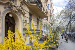 Property thumbnail 19