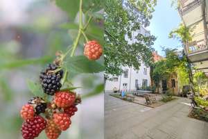 Vermietete 2 Zimmer WE mit Balkon in Friedrichsahin - heute Kapitalanlage, morgen Ihr Zuhause.
