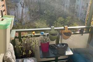 Property thumbnail 15