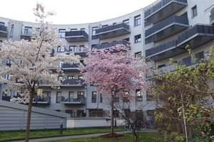 Platz an der Sonne - Repräsentative 3 Zimmer Wohnung mit EBK in D.-Flingern – Luise-Rainer-Str. 1f, 40235 Flingern Nord, Düsseldorf – Vorschaubild 19